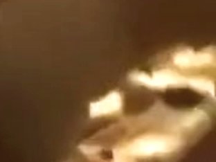 Super cute dark brown girlfriend sextape