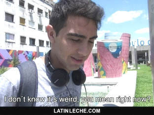 Numero 94 - LatinLeche