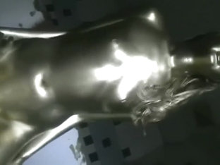 Gold painted Japanese sex