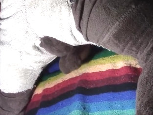 Quickvidya 012. Dog balls.