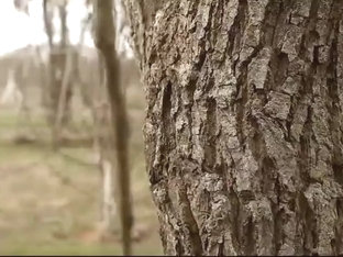 Starving (2014) - Argentina - P2