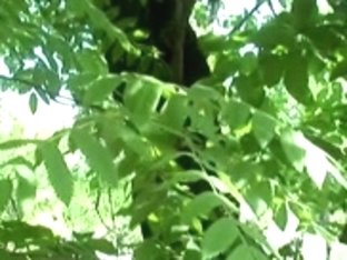 Brunette Hair engulfing in the bush