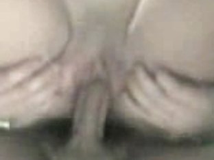 Lewd Pussy/cock Close Ups