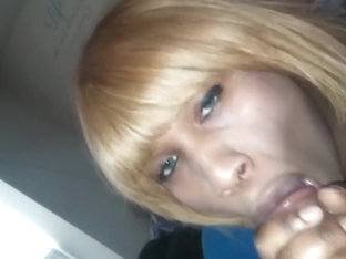 Nice Laid Back BlowJob From A T-Girl