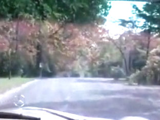 The opening of misty beethoven - 1976