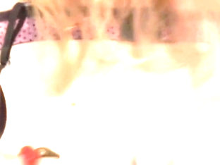 Experienced Babe - Foxy Love