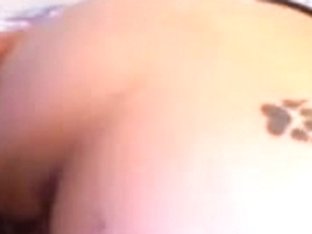 Serenity Pride - Large Aged Latin