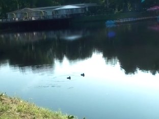 Sexy fellatio in the park bench