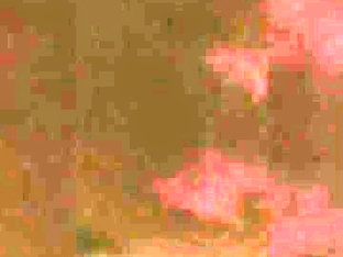 CD Twink Fucked Rough for Facial