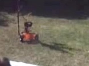 Hot Blowjob In The Back Yard