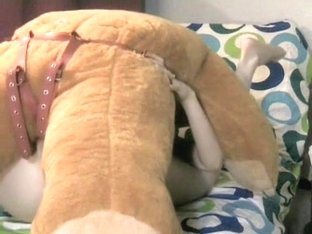Non-Professional Dick Rider sitting on my penis