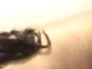 Best pornstar in crazy asian, amateur xxx scene