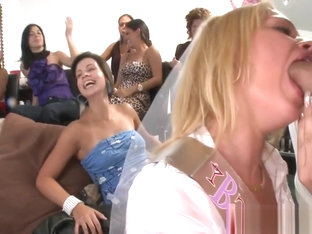 Impelling striptease show