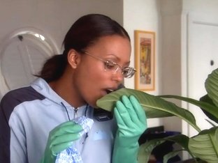 Krista Allen, Aisha Tyler - Meet Market