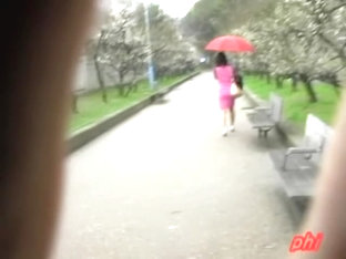 Lady With An Umbrella Was Skirt Sharked In Her Favorite Park