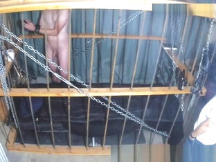 The Cage Cam May 9 2018 1402 auto triggered clips of this bois new reality