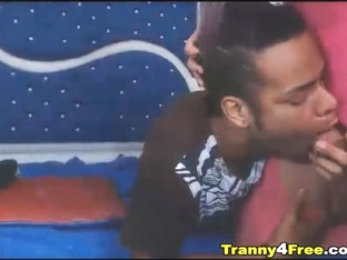 Two Horny Tranny Love Suking Each Other