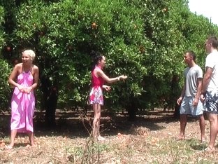 Margo & Aspen & Jocelyn In Hot Babe Gives Head In An Outdoor Sex Scene