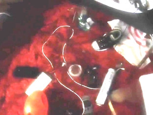 Love the fuck out of him! Laaaahtrilly!