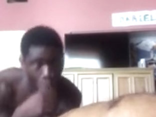 Black boy sucks white bear cock