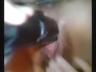 I love stuffing my dark hole with different cock shaped objects