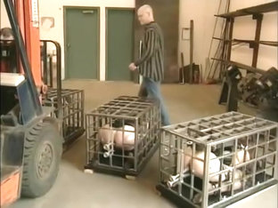 Caged Bondage