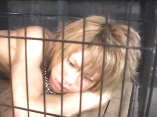 Exotic Asian Gay Boys In Fabulous Twinks, Fingering Jav Clip