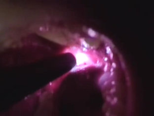 x1x884CAC2BE9FC4BC907