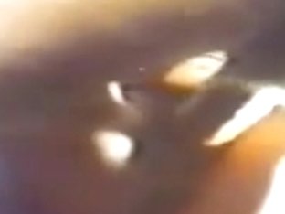 Porcellone E Porcellini scena