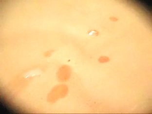 Uncomplaining wife engulf spouse ding-dong sunday morning