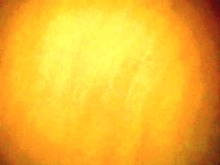 Blonde webcam fingerring pussy