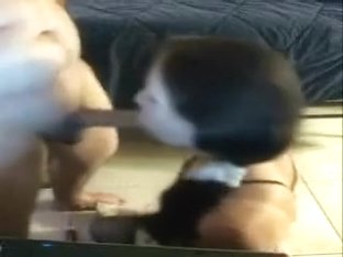 Honey lady sucking my large dick