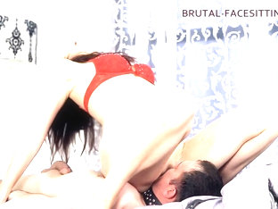 Anabella Clips - Brutal-facesitting