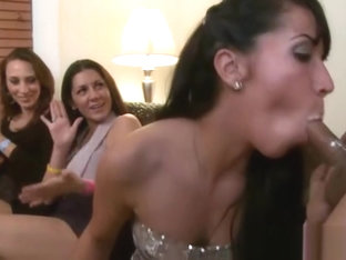 Dancingcock Big Bear Cock Blowing