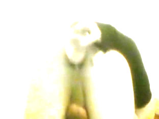 trans girl in chastity fucks her ass doggystyle