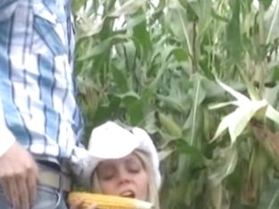 Fit Blond Honey Drilled in a Corn Field