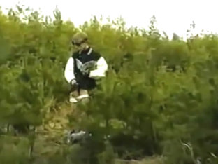 Fantasy Dream Of Love