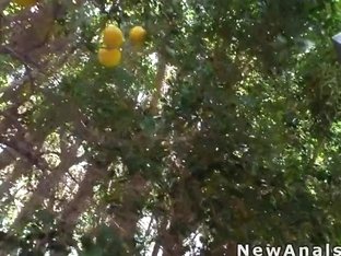 Busty Latina Gets Anal Banged In Backyard