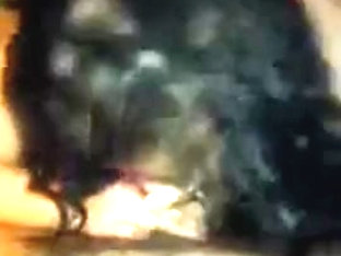 Lina Foititria Logistikis Tei Serron