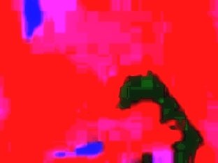 Ma femme la sodo salope