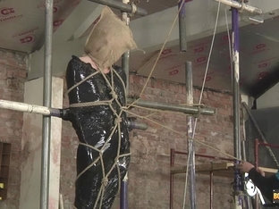 Making His Big Cock Spew Cum! - Charley Cole Ashton Bradley - Boynapped