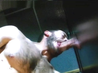 Vander at the Glory hole