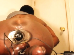 Ass monkey - ass balls cock