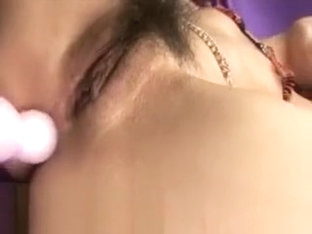 mongolian and her toys every day