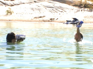 Incredible pornstar in Crazy Reality, Lesbian adult video