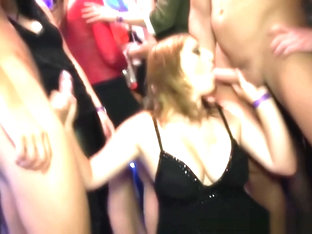 Hottest Real Amateurs Slammed With Dick At Party In HD