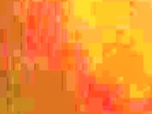 Juvenile interraial pair shes a real screamer