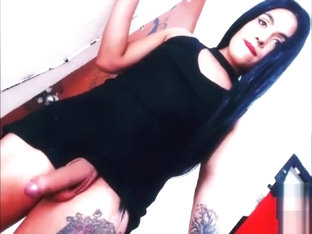 Sexy hung latina shemale showing big dick