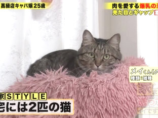 0012039_ムチムチ ボイン キスなどが含まれている