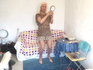 Kitty Janneke is a sunny Tiger now, home alone